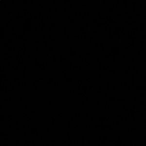 Meet your Posher, Corey